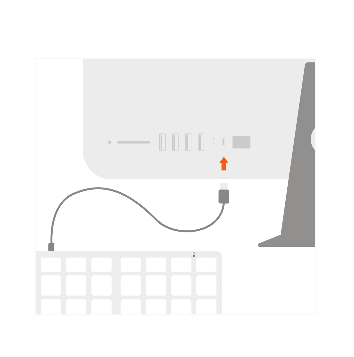 Slim W3 Wired Backlit Keyboard (ST-UCSW3M) Quick Start Guide step 1: Plug in Slim W3 Wired Backlit Keyboard into a USB-C or Thunderbolt 3 port.